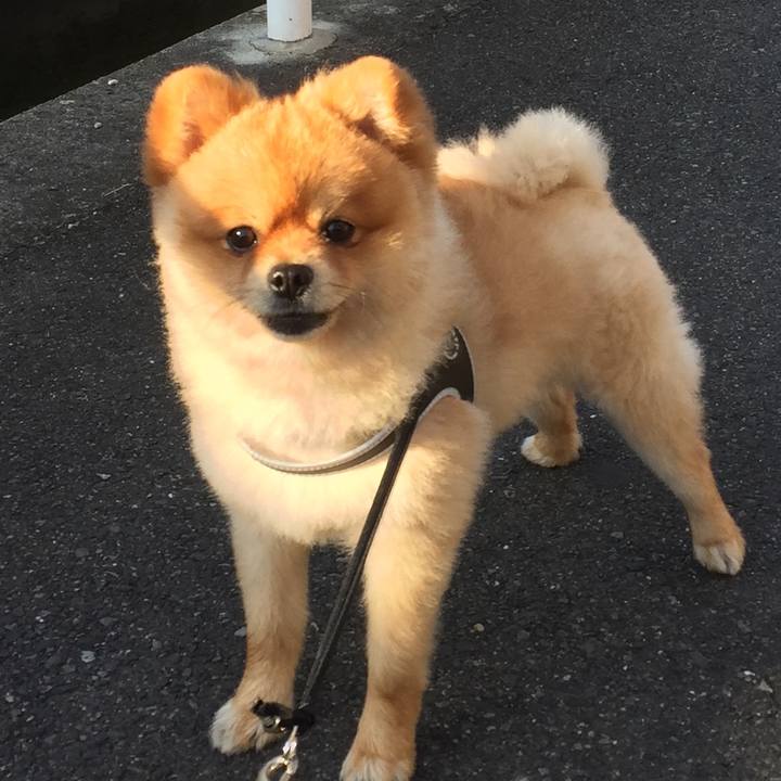 908a45a9 8db5 416f 80ac bf33d2e031fb