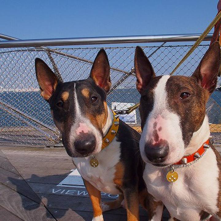 908b1c61 bc17 4d02 be27 1f790e0c21d3