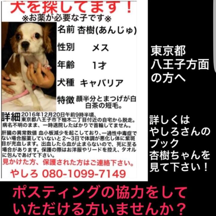 908b2d46 f1b4 4f0d b29e 99e401df593b