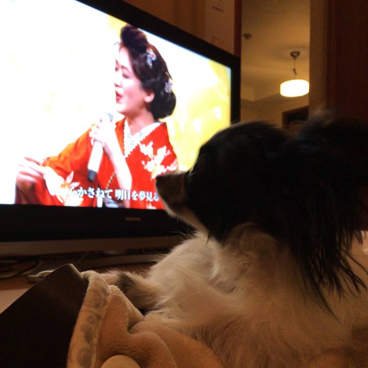 908b3f9e 8d07 4f08 a44d dc93a638856d