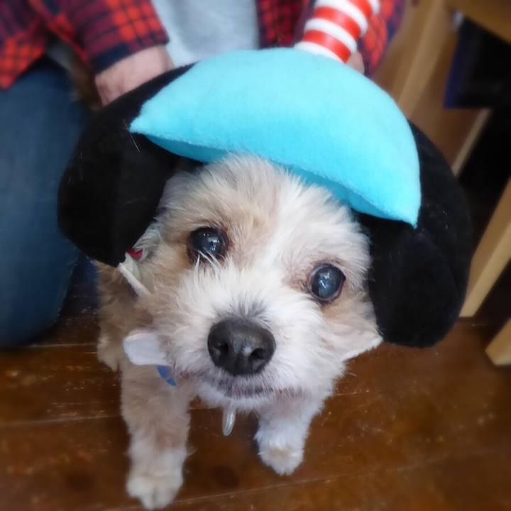 908b731d 584a 4f9d a313 ccef9fb2cccc