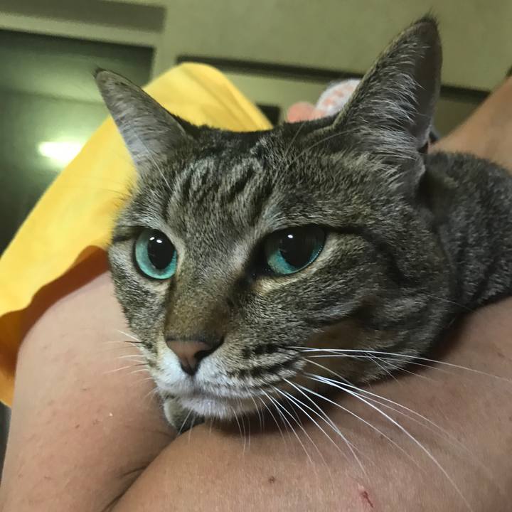 908b8bf6 adb2 4cc1 9ba5 2fb58f53874f