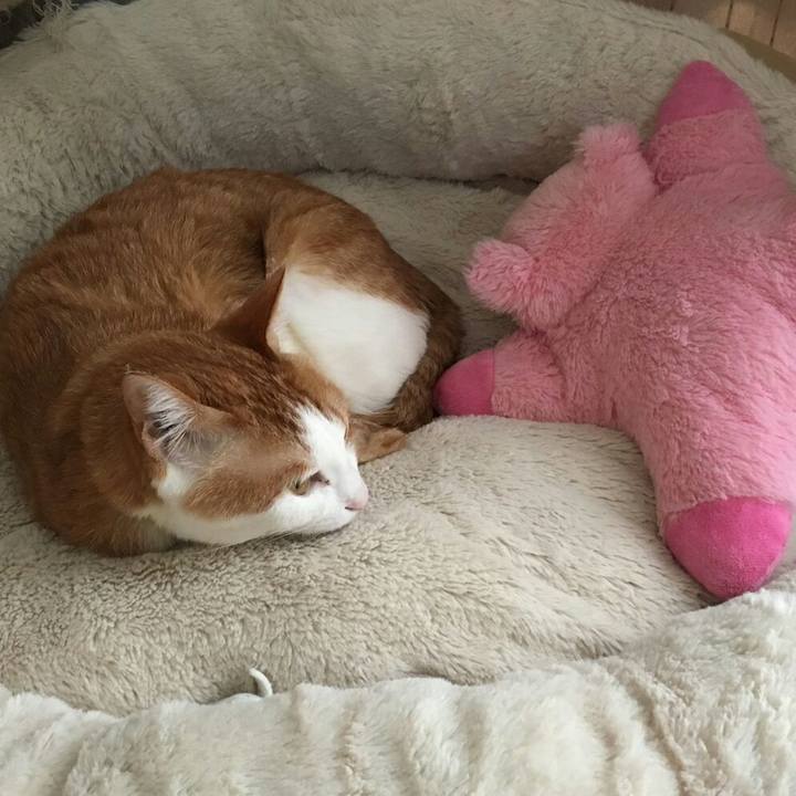 908bd7bd 6f99 458e bafa 828b1e795990