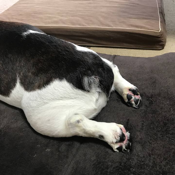 908c0805 68dc 4163 b83e 43e8bd8c5a5e