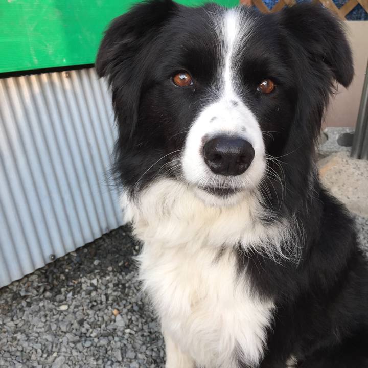 908ce265 e41f 4205 bb0e ba0ce5f6dab8