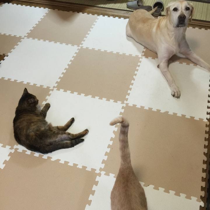 908d3b9e 4d9f 4455 8493 dc7b81312802