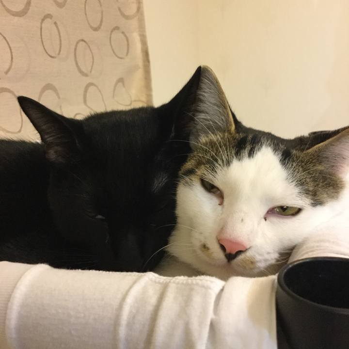 908d5401 9f00 430a ab1b 9c209c7167ad