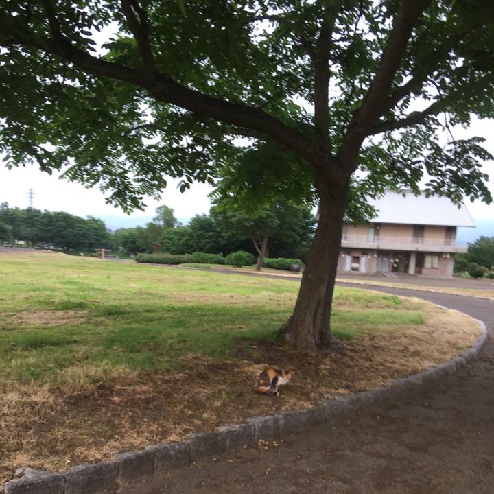 908e307d cff0 4555 a063 3ad831a58df9