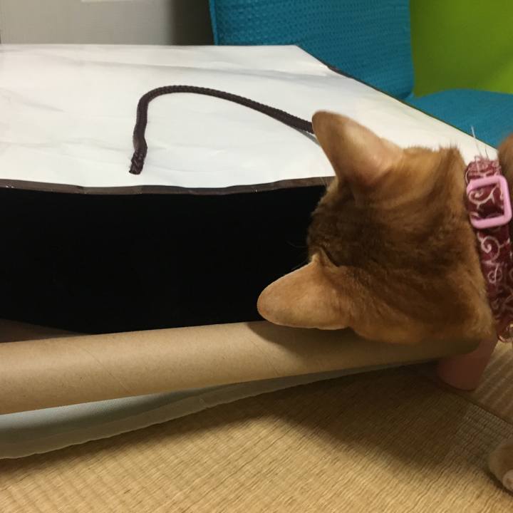 908e5c7b caec 41e7 b732 02390083e8ae