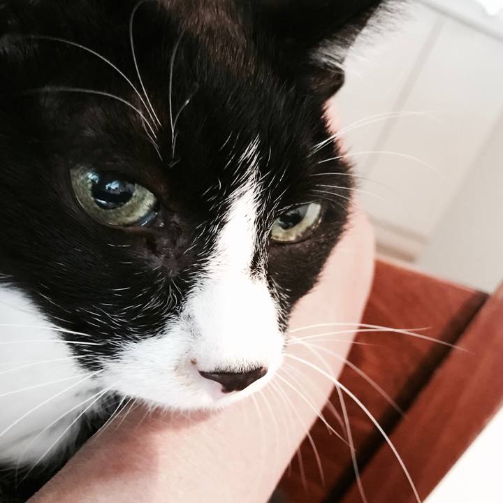 908f7800 8c72 4f33 80d8 70106ae5cbeb