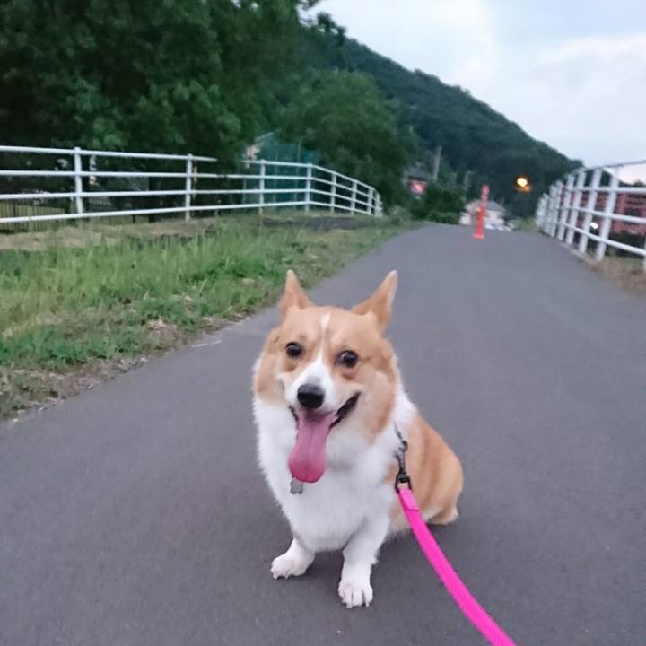 908fb6ce 315c 4348 b5bd 3b36e6357613