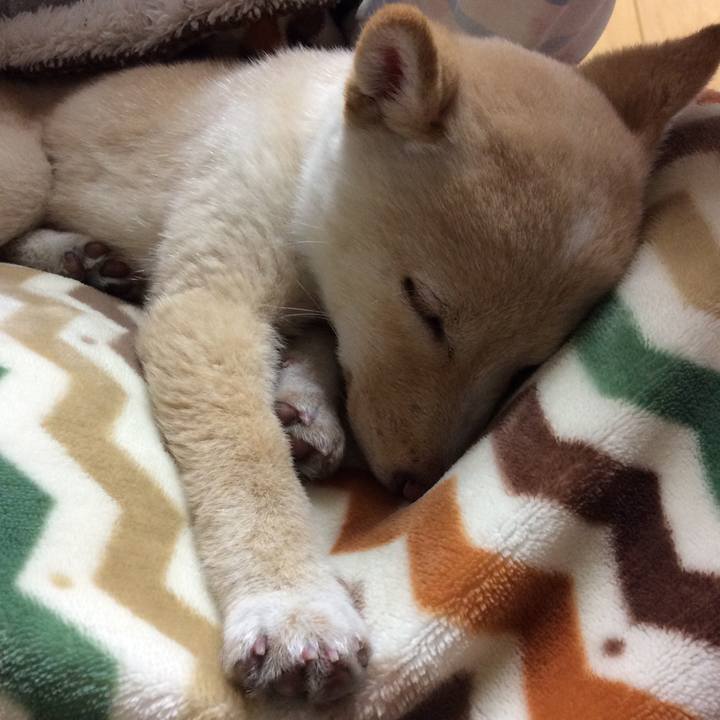 909007ab aa8a 4cd0 bec0 d751fb988f5b