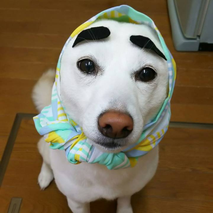 90902707 d19e 4533 a5cc 71871c8cb983