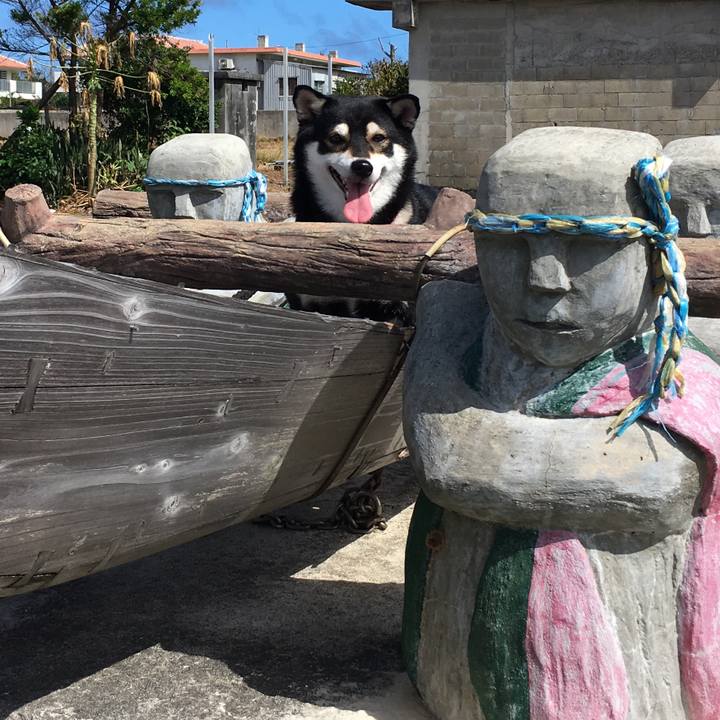 909052b0 4f8c 4c77 9fce 88ad98e1362d