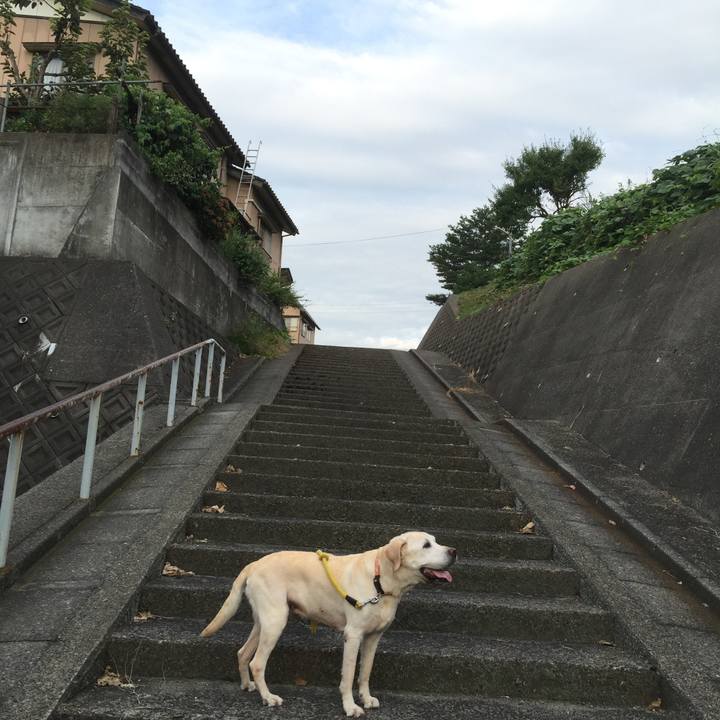 9090ff2e 4b68 497e 87ea 23f425cf5d99