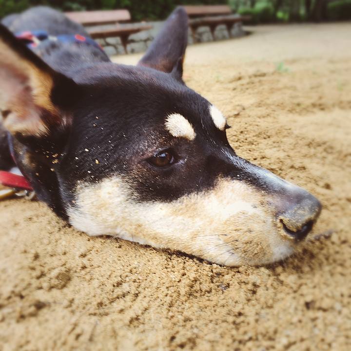 909101de a487 4c6c b691 b9fe03da6610