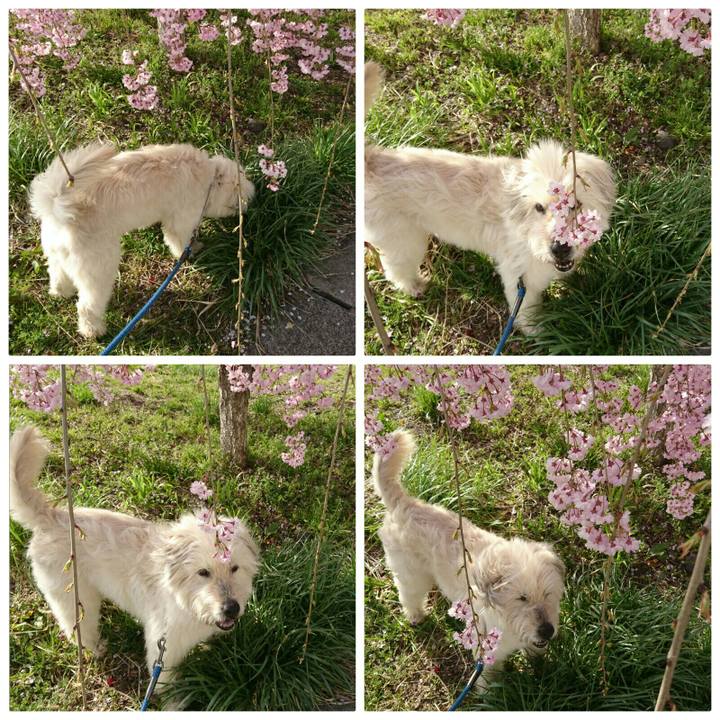 90921807 92cd 4b38 b75d 90f3fafc77f8