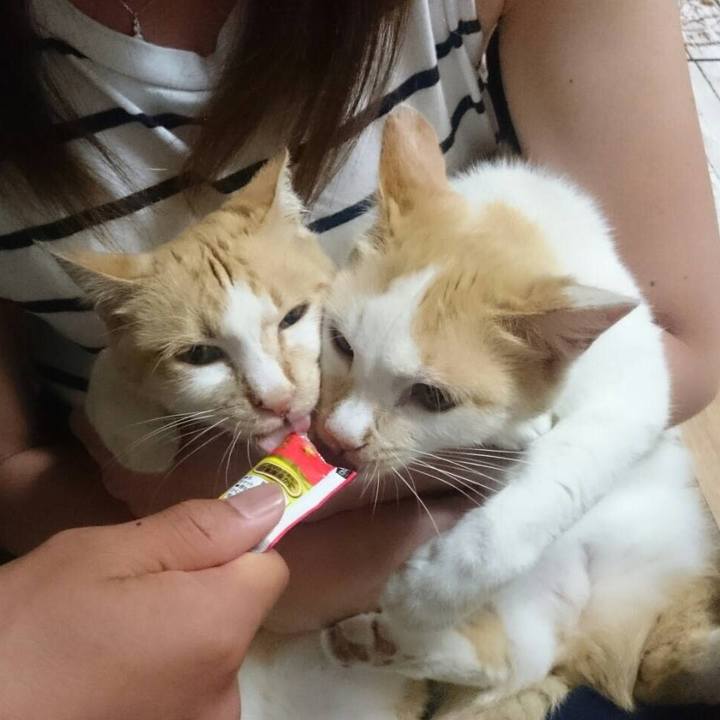 9092c6f6 da1d 4cf6 a77a 2baa62d7e243