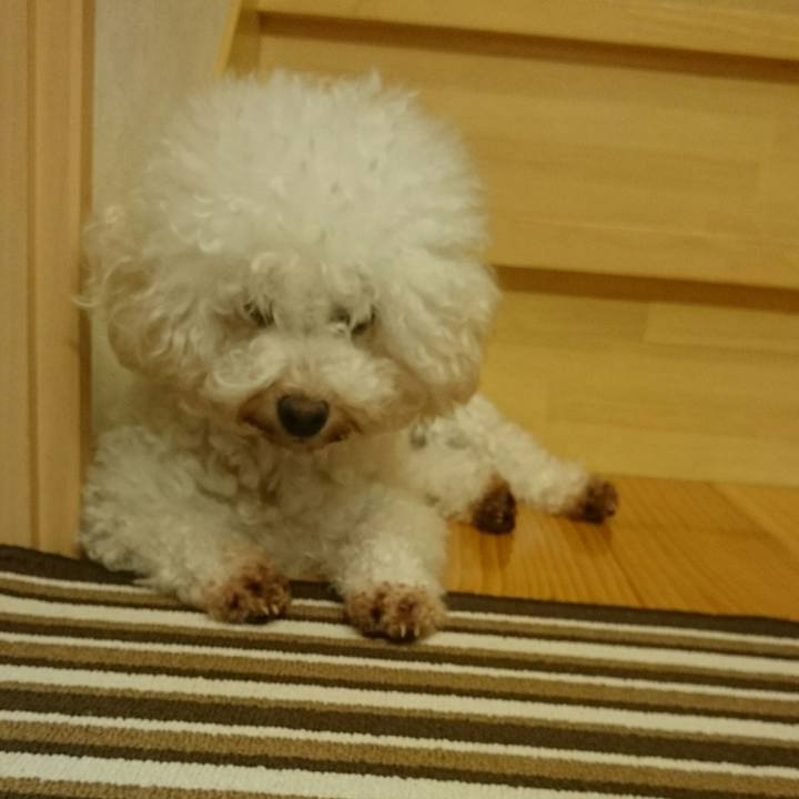 9092f908 952a 474d b4d9 372f0d403639