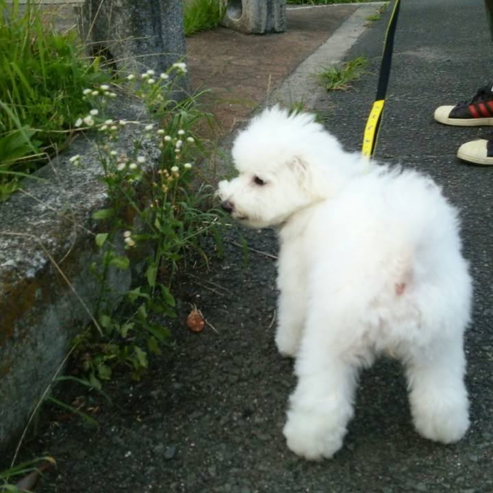 9093245a c7ce 4ed6 97bd a8baa9f9eede