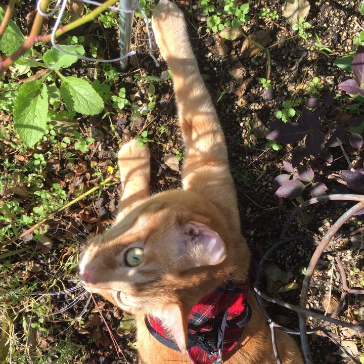 90936e24 7874 49ed ac5b effdc8667a31