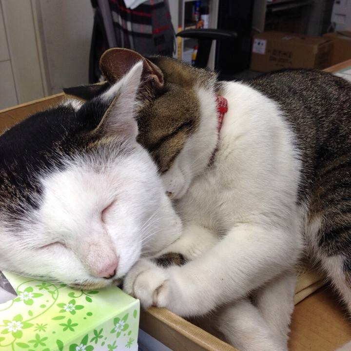 9094ff3d 3aa5 4585 9d48 34d6b474887b