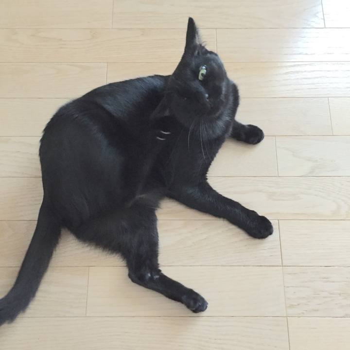 90953f37 0414 43c2 bd0c ef0688a6d2e0