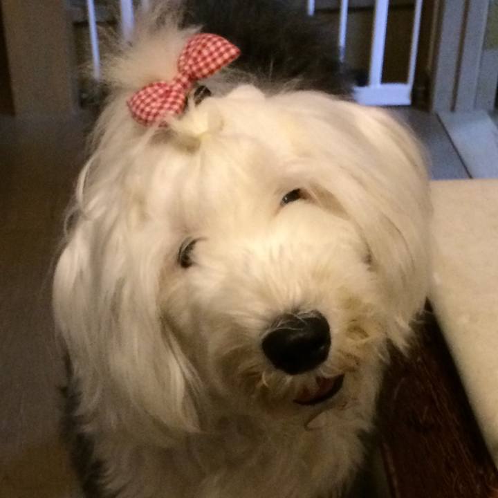 90956e9c af66 4915 a548 5079a9b3ac40