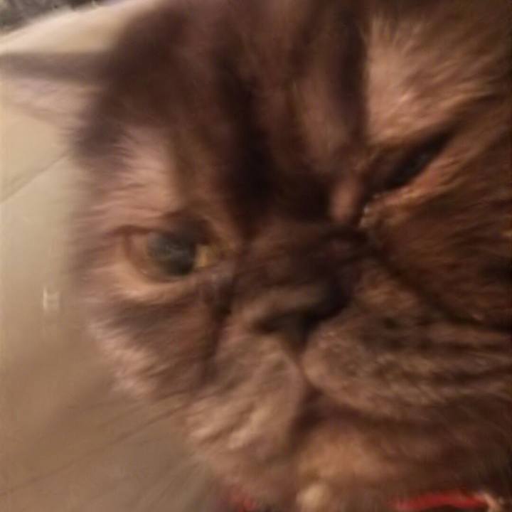 90972768 5224 459a a4c0 fc231ca4619f