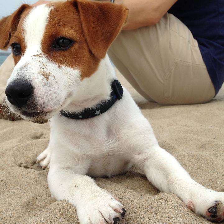 9097373f 0dec 4ea0 8d9e bf179df4e041