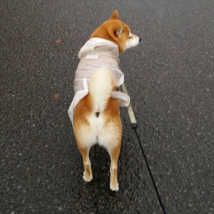 909753fb 1d8b 401b 969a 8cfd0060a50f