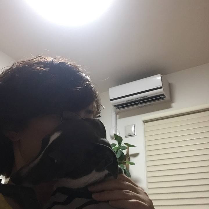 90976ef7 645d 4515 b498 dea0e0259749