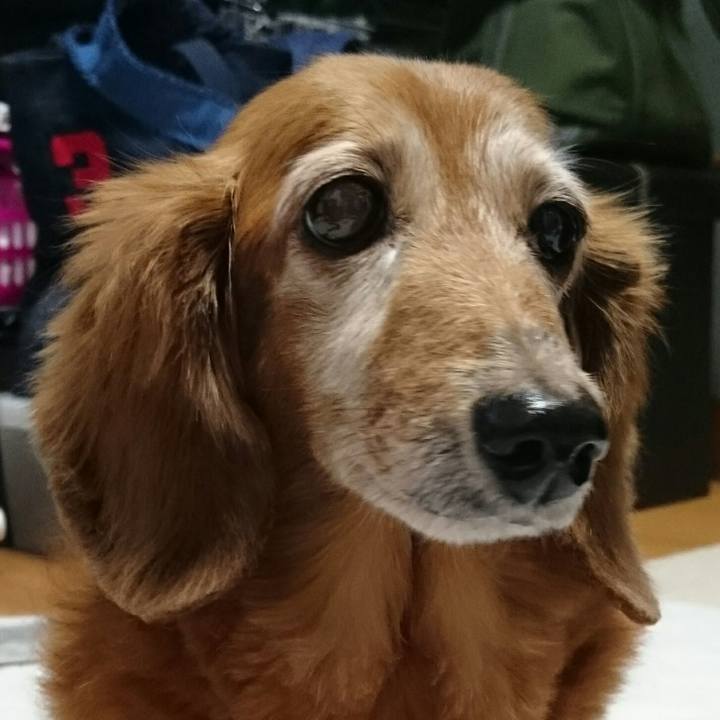 90982299 3d5f 416c b5fb b62abee2e76f