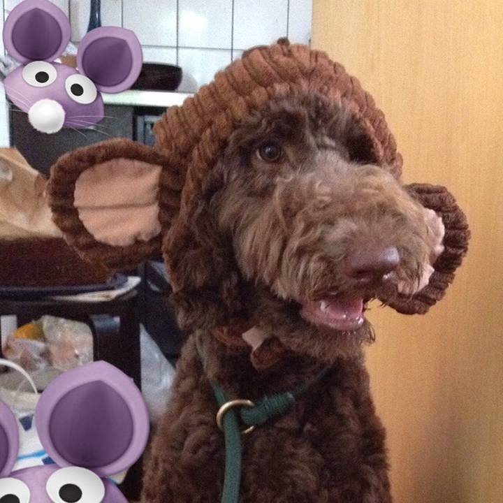 9098ed84 8743 4e91 b8b0 934a7b71d4c7