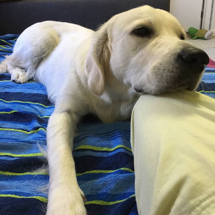 90995991 2dd5 4114 86e1 dec01b2c64f8