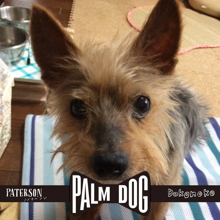 9099a8bb 0d33 453c 9108 972c80dc76b9