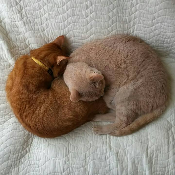 9099bdf6 a614 46e4 8500 a48defd5009a