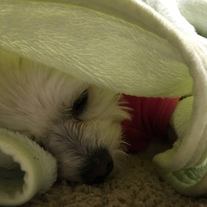 9099d014 ed24 4b47 9be4 31a4e495bcd4