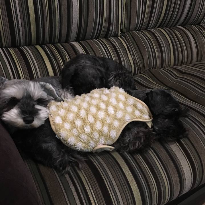 909c3049 324a 44c2 96e7 40d337007ef0