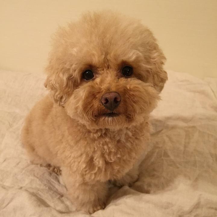 909c6397 52b0 44b0 b06a 69f76d64bad0