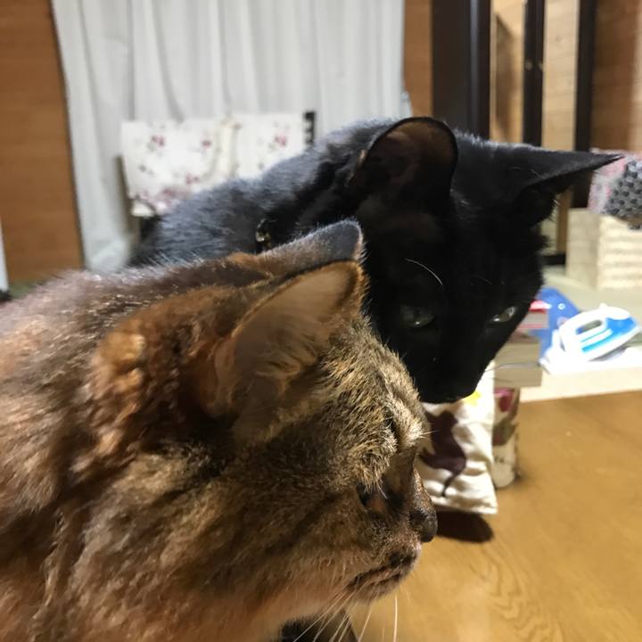 909c8a2a 675c 4a36 accb 539a12ac35af