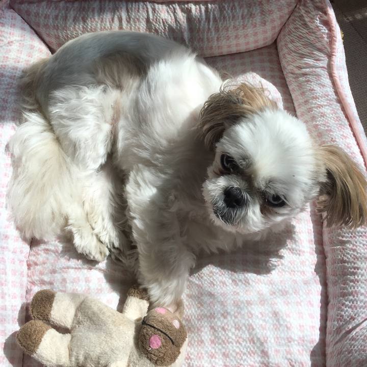 909cbc09 8305 48cf a46d 0c81f34790ea