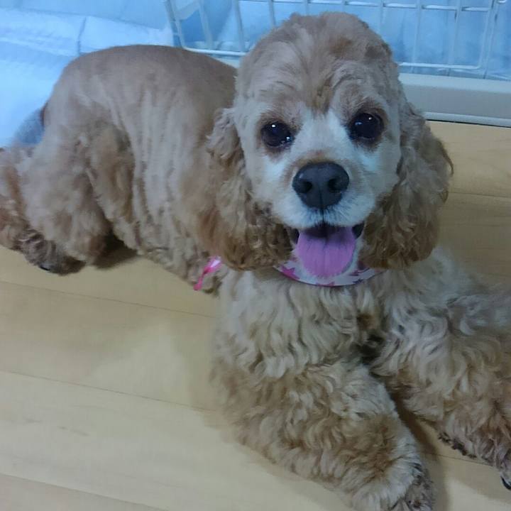 909d4b93 9ea5 481b 95a9 5afa8c5d69f4