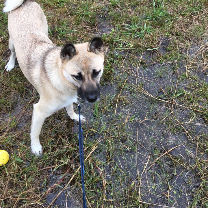 909d76e8 3990 417b 9821 d59aeaba6aac