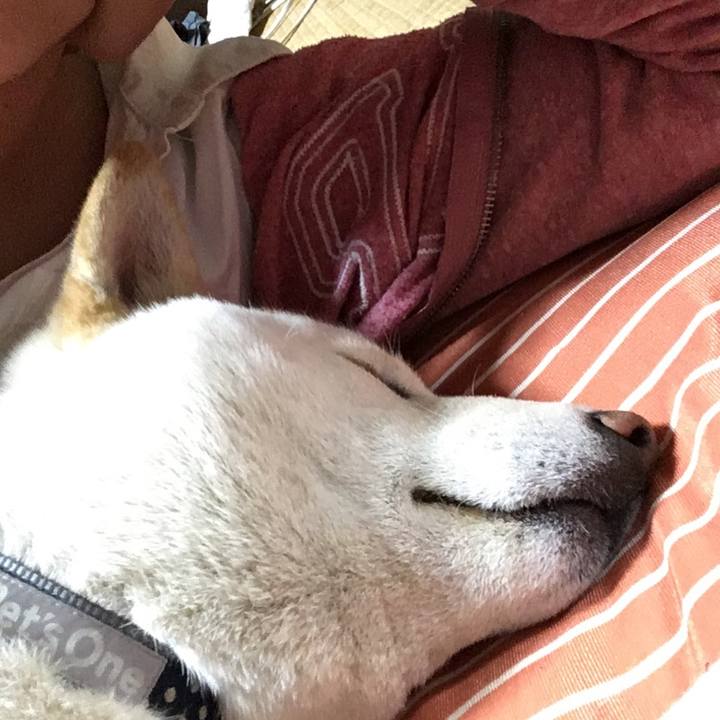 909dedff 9729 419c 96c8 e9f91b2ca0e2