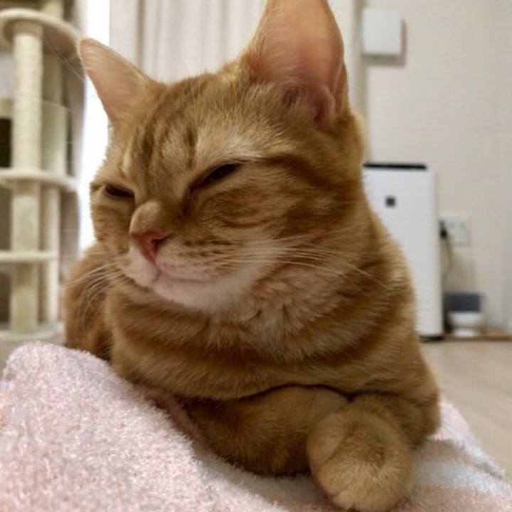 909e6c5f 1454 4ad9 9119 2c7915f7c9b0