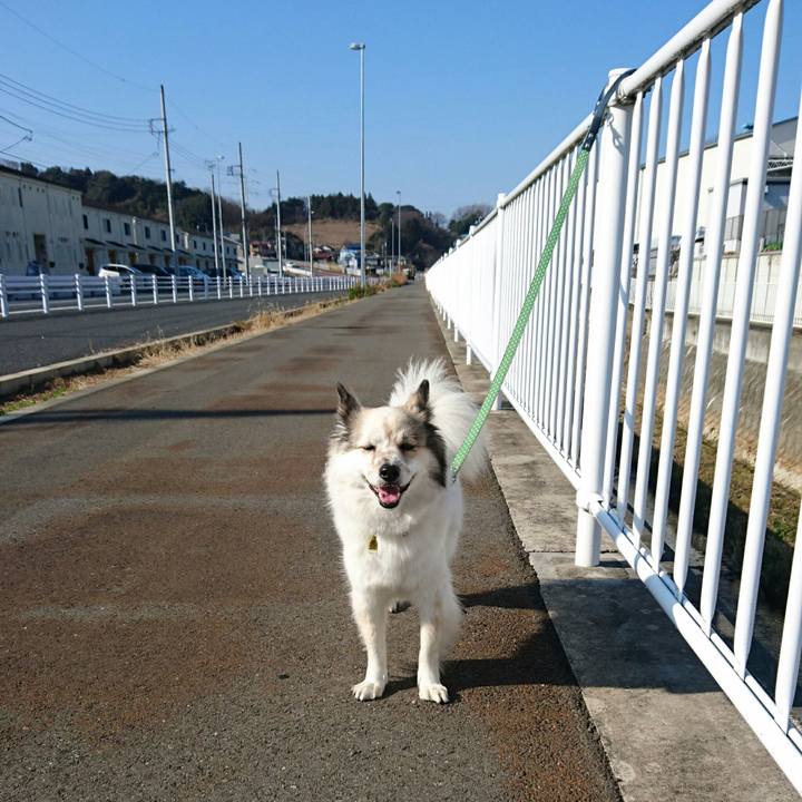 909eeeed 8332 4c8c 80eb 39ade862ff12