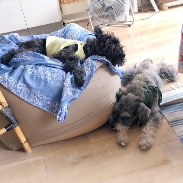 909f5e1c 7829 4a82 9ba3 fefda932f513