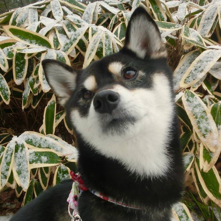 909f8daf 0b0b 4af4 aa6c a0cd8a2a2562