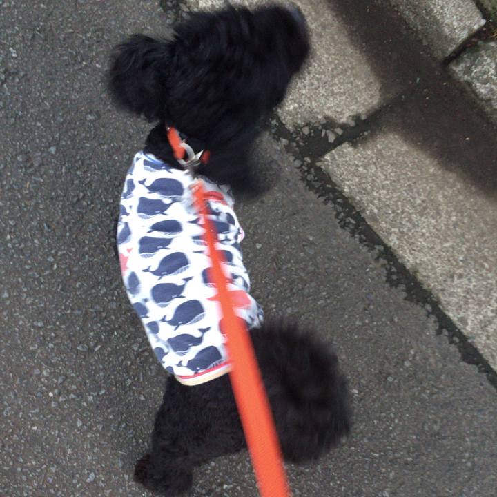 90a01db3 c396 4806 bd7c ce43289e9da5